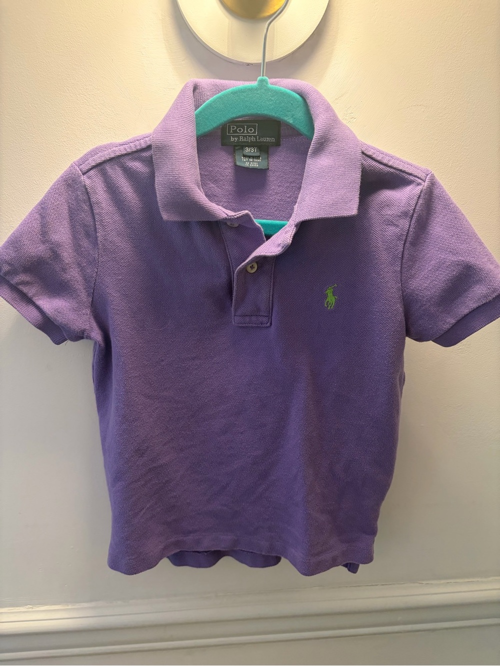 Polo by Ralph Lauren Purple Polo with Green Pony